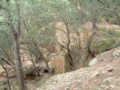 DSCF0098.JPG